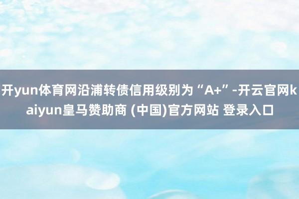 開yun體育網沿浦轉債信用級別為“A+”-開云官網kaiyun皇馬贊助商 (中國)官方網站 登錄入口