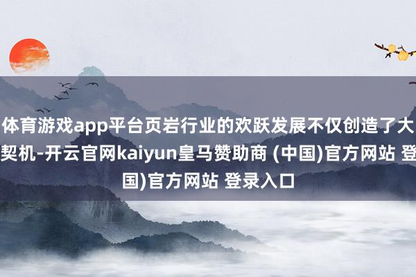 體育游戲app平臺頁巖行業的歡躍發展不僅創造了大皆干事契機-開云官網kaiyun皇馬贊助商 (中國)官方網站 登錄入口