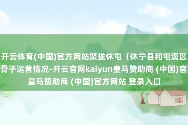 開云體育(中國)官方網站聚攏休屯（休寧縣和屯溪區(qū)來回線）公交的骨子運營情況-開云官網kaiyun皇馬贊助商 (中國)官方網站 登錄入口